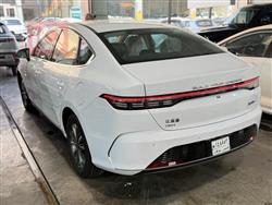 بي واي دي ديستروير 05